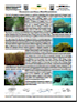 Mangrove and Coral Reef Ecosystems